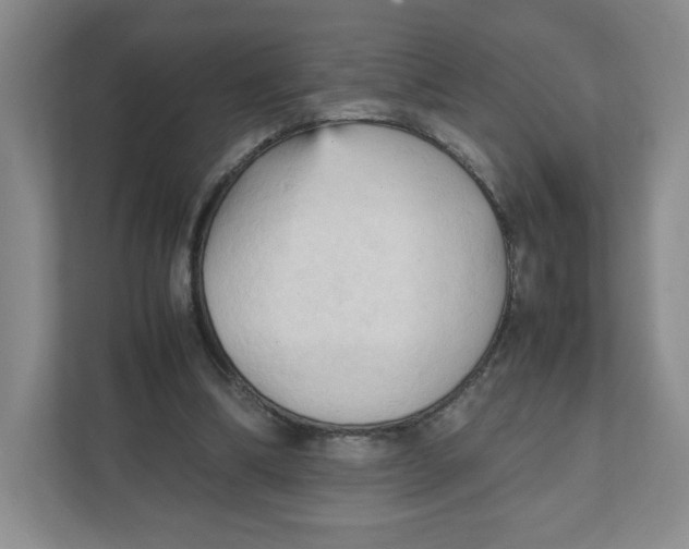 X0000111950298200908171323