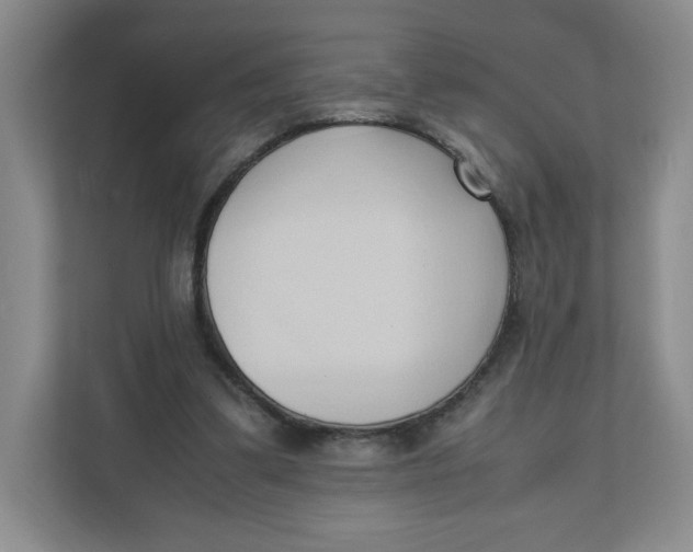 X0000111950299200908171323