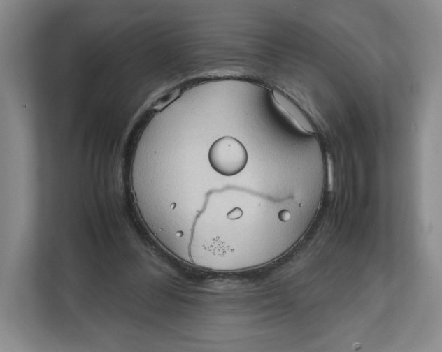 X0000111950300200908171323