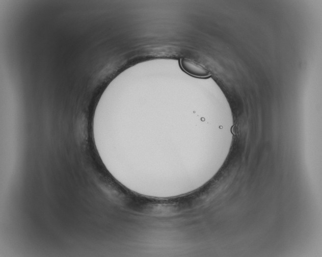 X0000111950303200908171323