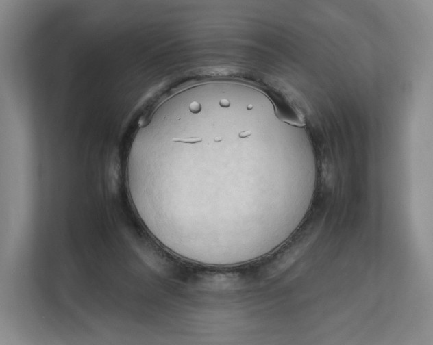 X0000111950304200908171323