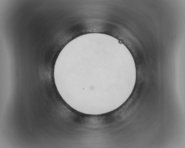 X0000111950305200908171323