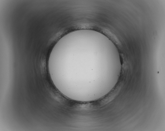 X0000111950306200908171323