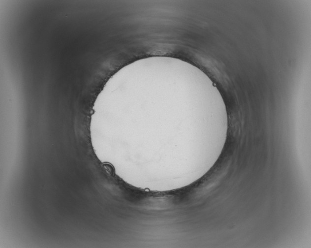 X0000111950307200908171323