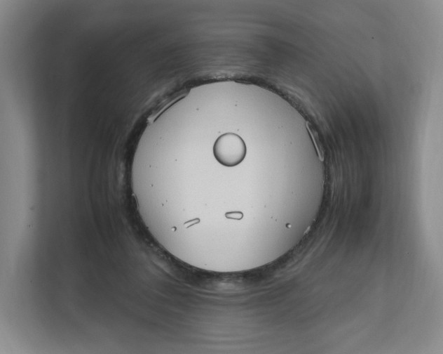 X0000111950308200908171323