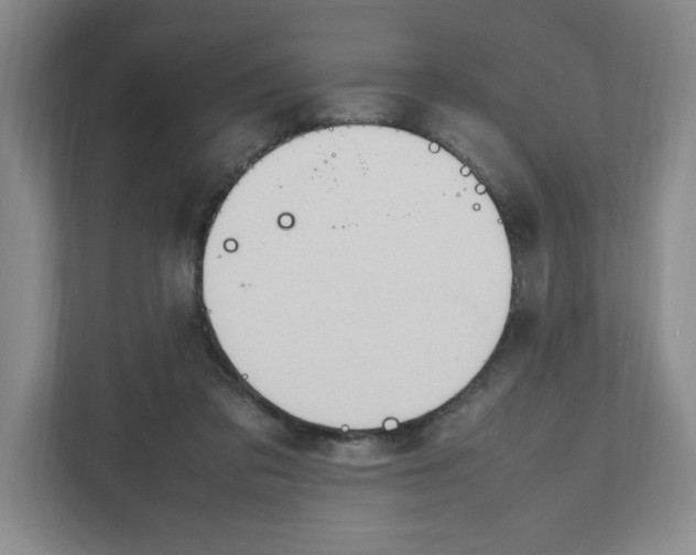 X0000111950309200908171323