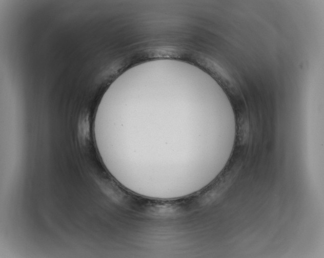 X0000111950310200908171323