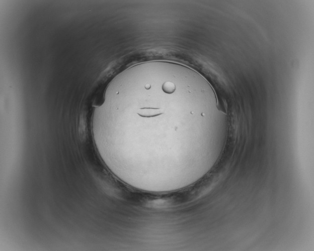 X0000111950312200908171323