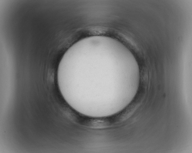 X0000111950315200908171323