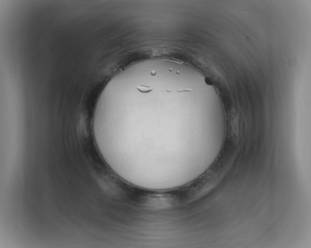 X0000111950316200908171323