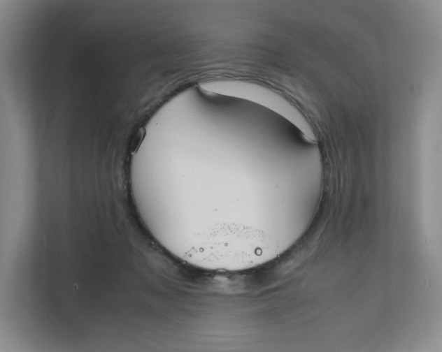 X0000111950317200908171323