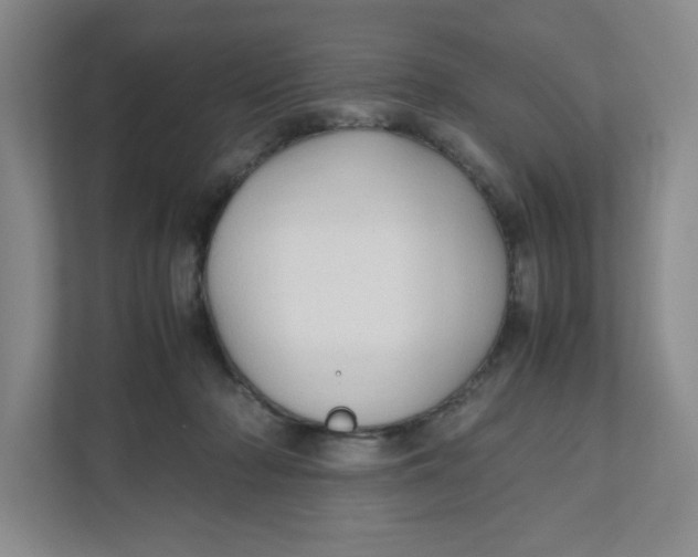 X0000111950318200908171323