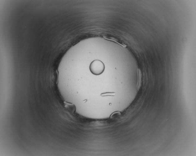 X0000111950320200908171323