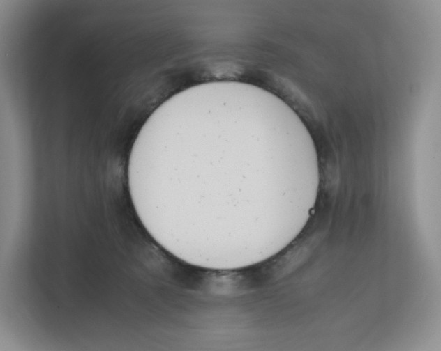 X0000111950321200908171323