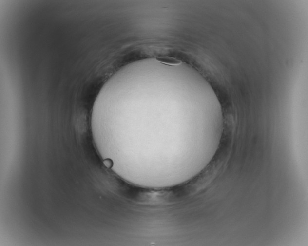 X0000111950323200908171323