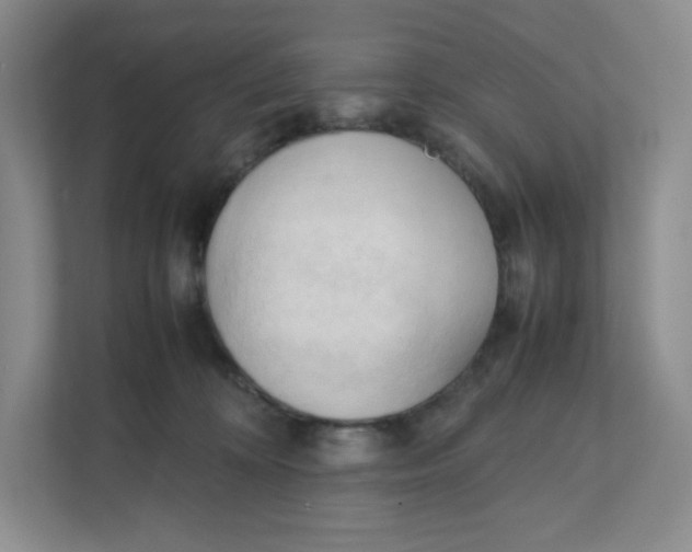 X0000111950324200908171323