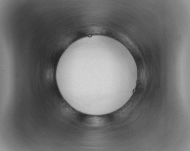 X0000111950326200908171323