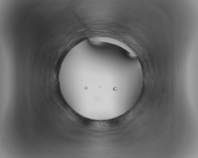 X0000111950327200908171323