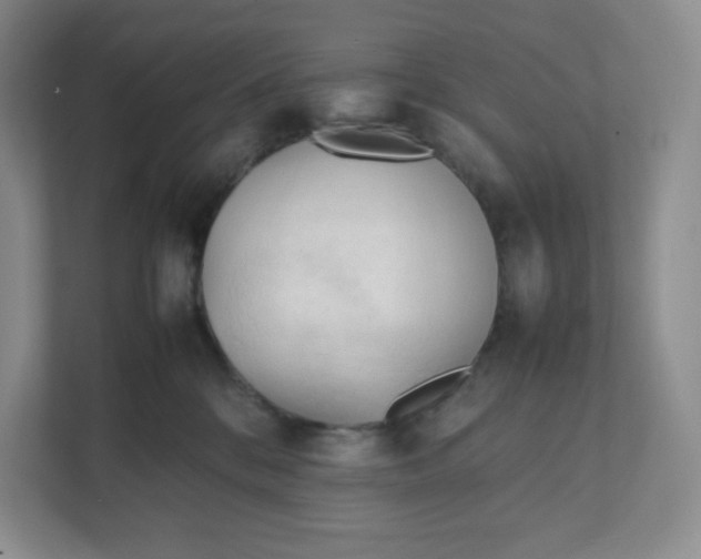 X0000111950328200908171323