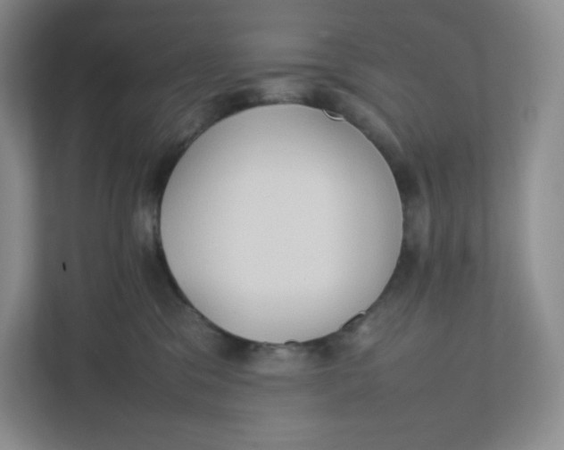 X0000111950329200908171323