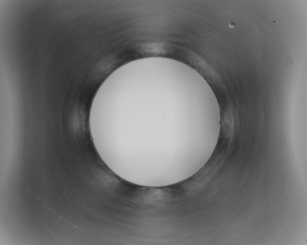 X0000111950330200908171323