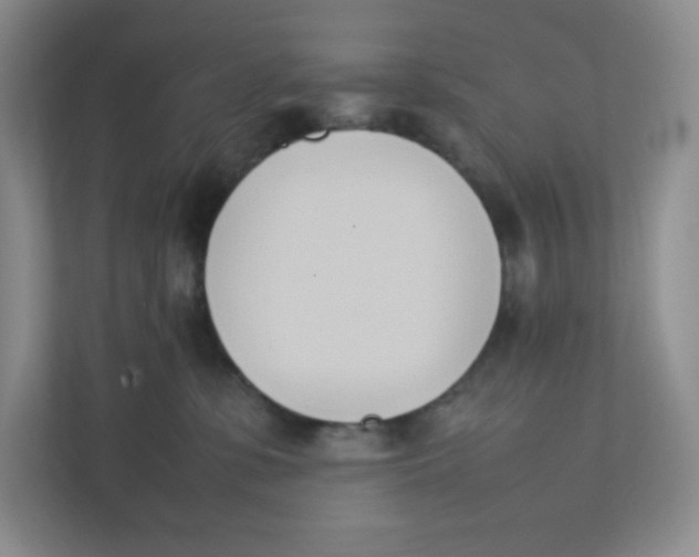 X0000111950331200908171323