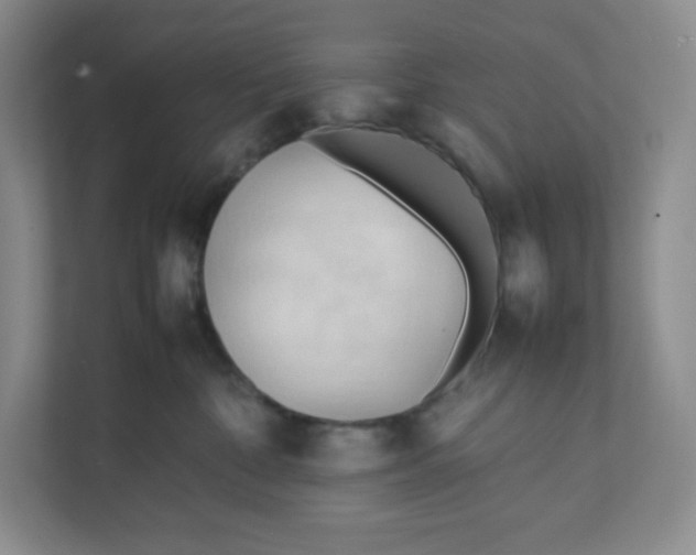 X0000111950332200908171323