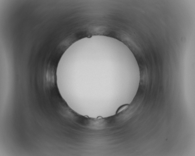 X0000111950334200908171323