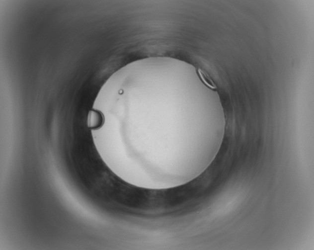 X0000111950335200908171323