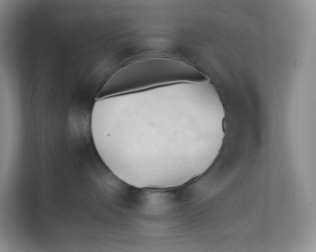 X0000111950336200908171323