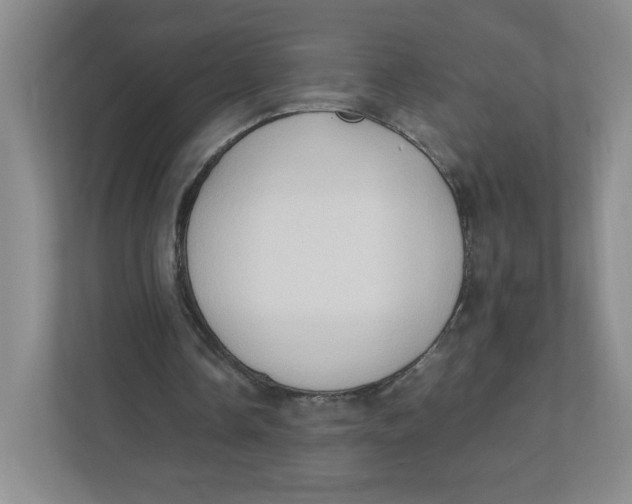 X0000111950338200908171322