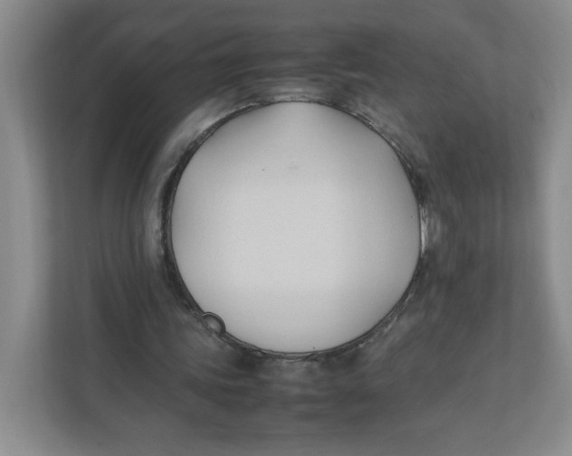 X0000111950339200908171322