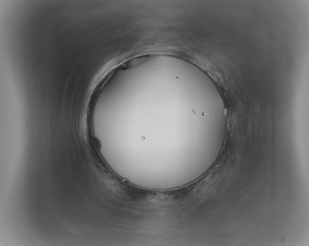 X0000111950340200908171322