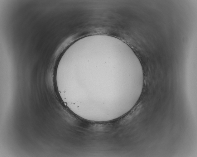 X0000111950341200908171322