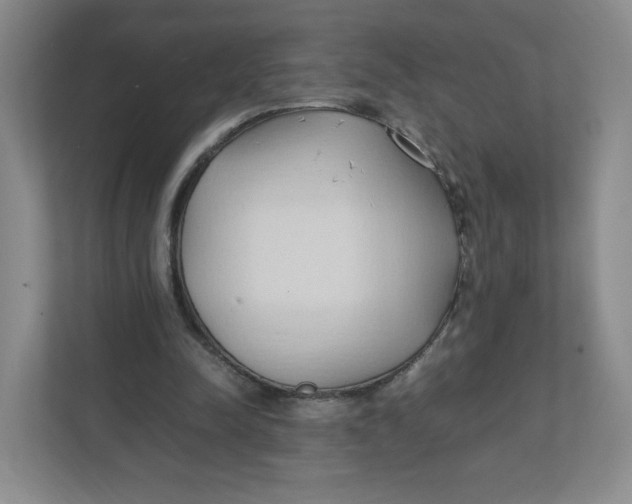 X0000111950342200908171322