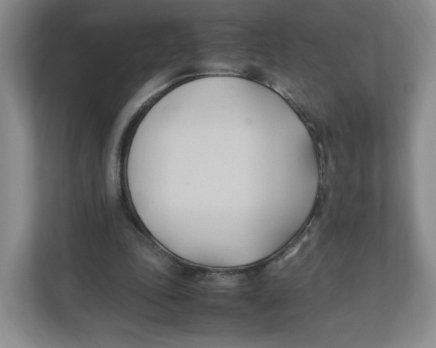 X0000111950343200908171322