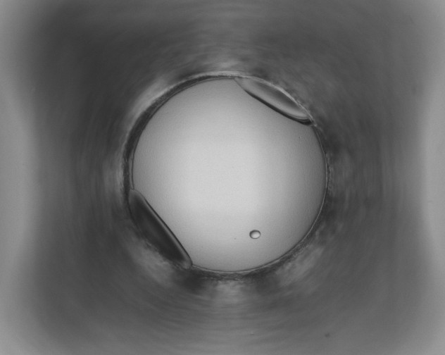 X0000111950344200908171322