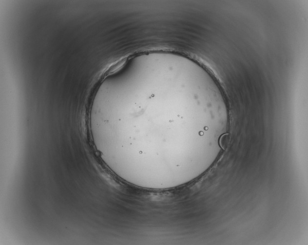 X0000111950345200908171322