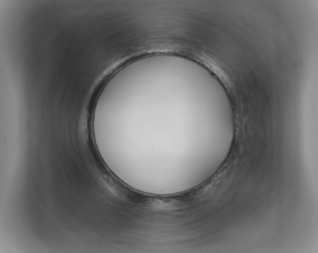 X0000111950346200908171322