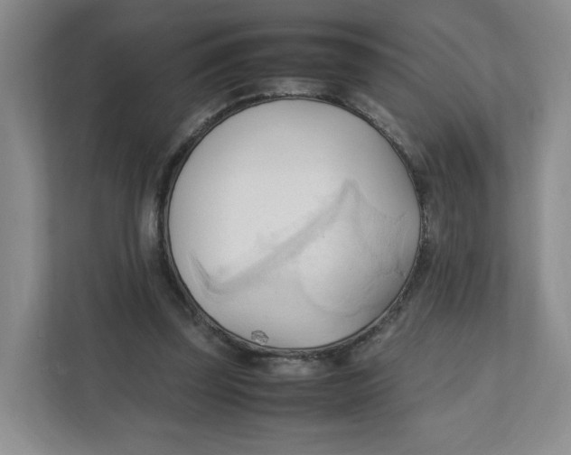 X0000111950347200908171322