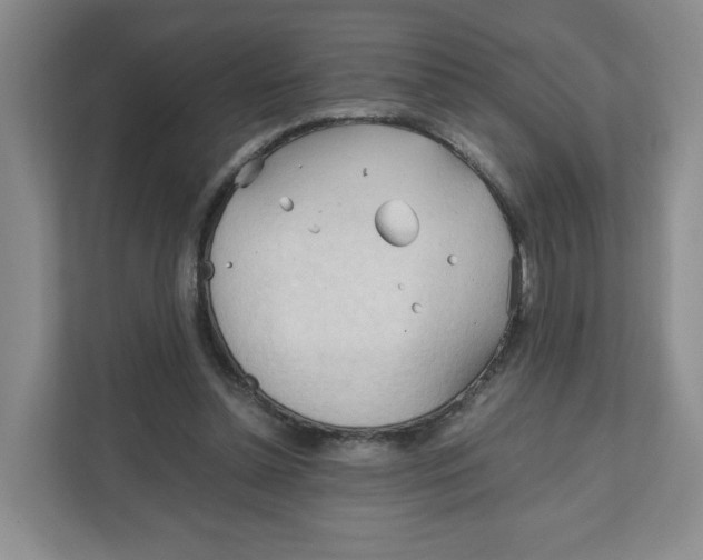 X0000111950348200908171322