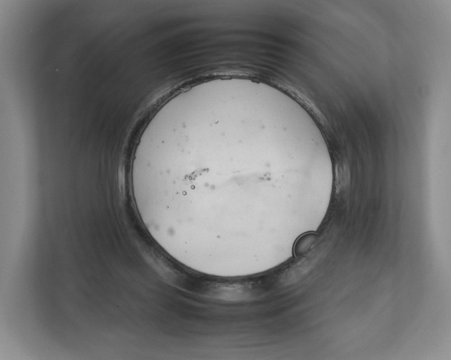 X0000111950349200908171322