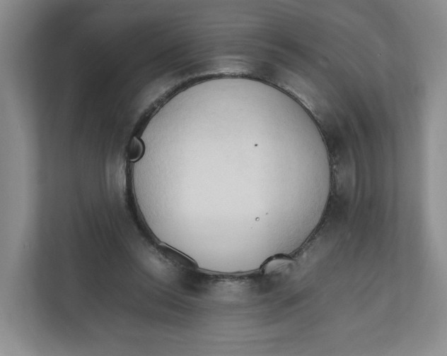 X0000111950350200908171322