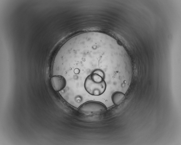 X0000111950351200908171322