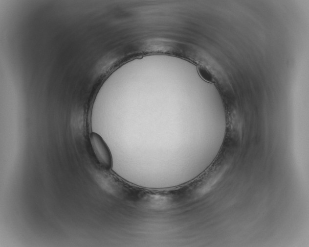 X0000111950352200908171322