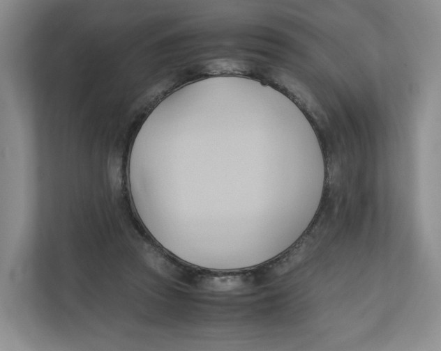 X0000111950353200908171322