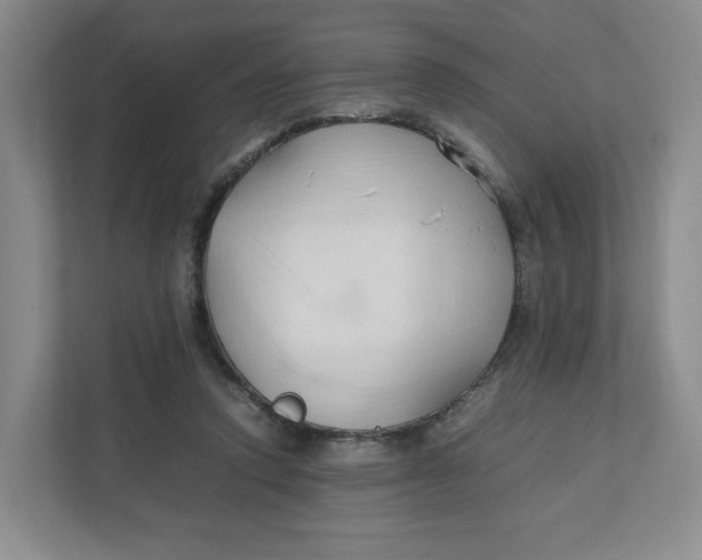 X0000111950354200908171322