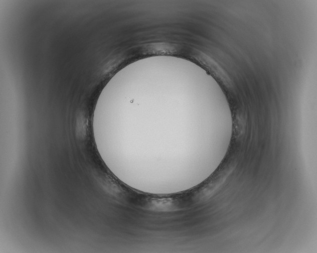 X0000111950355200908171322