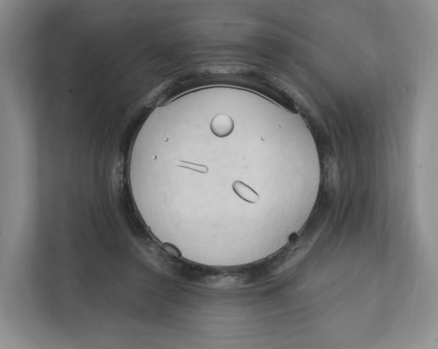 X0000111950356200908171322