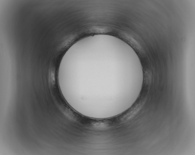 X0000111950358200908171322